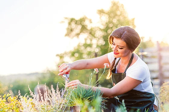 Person schneidet mit Gartenschere Pflanzen